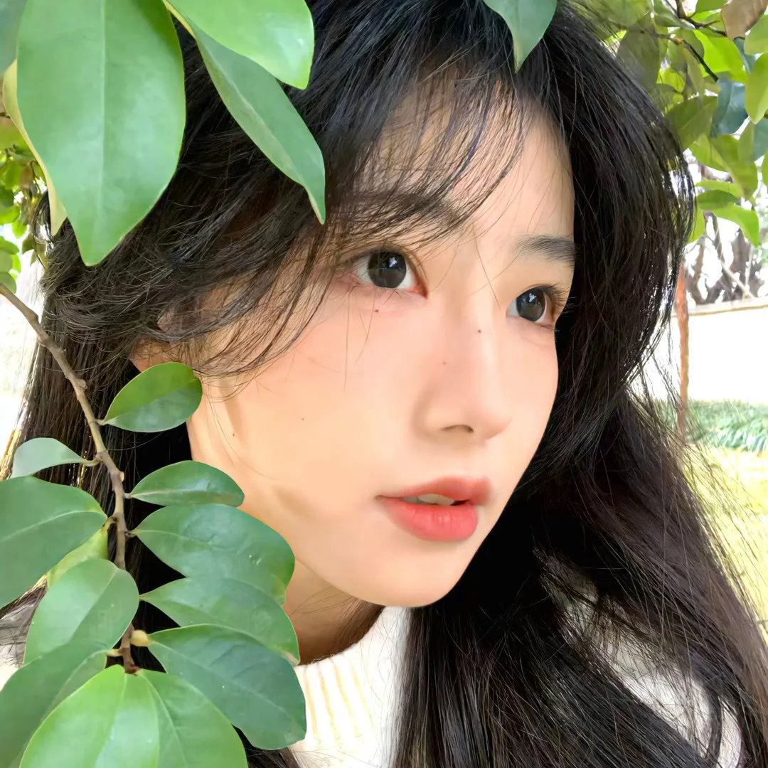 赤道之花