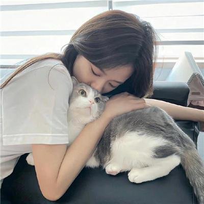 肥猫正传粤语
